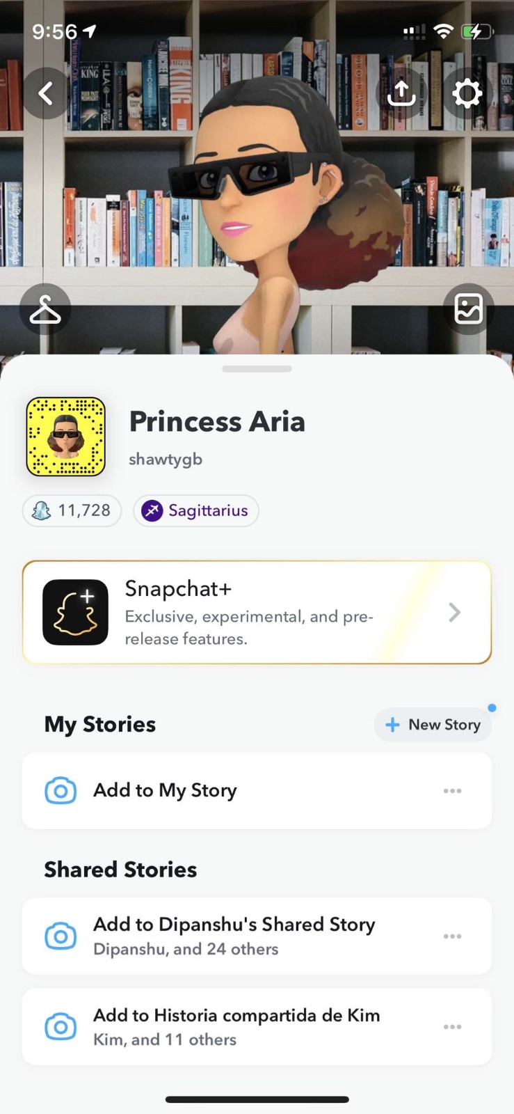 Princess Aria